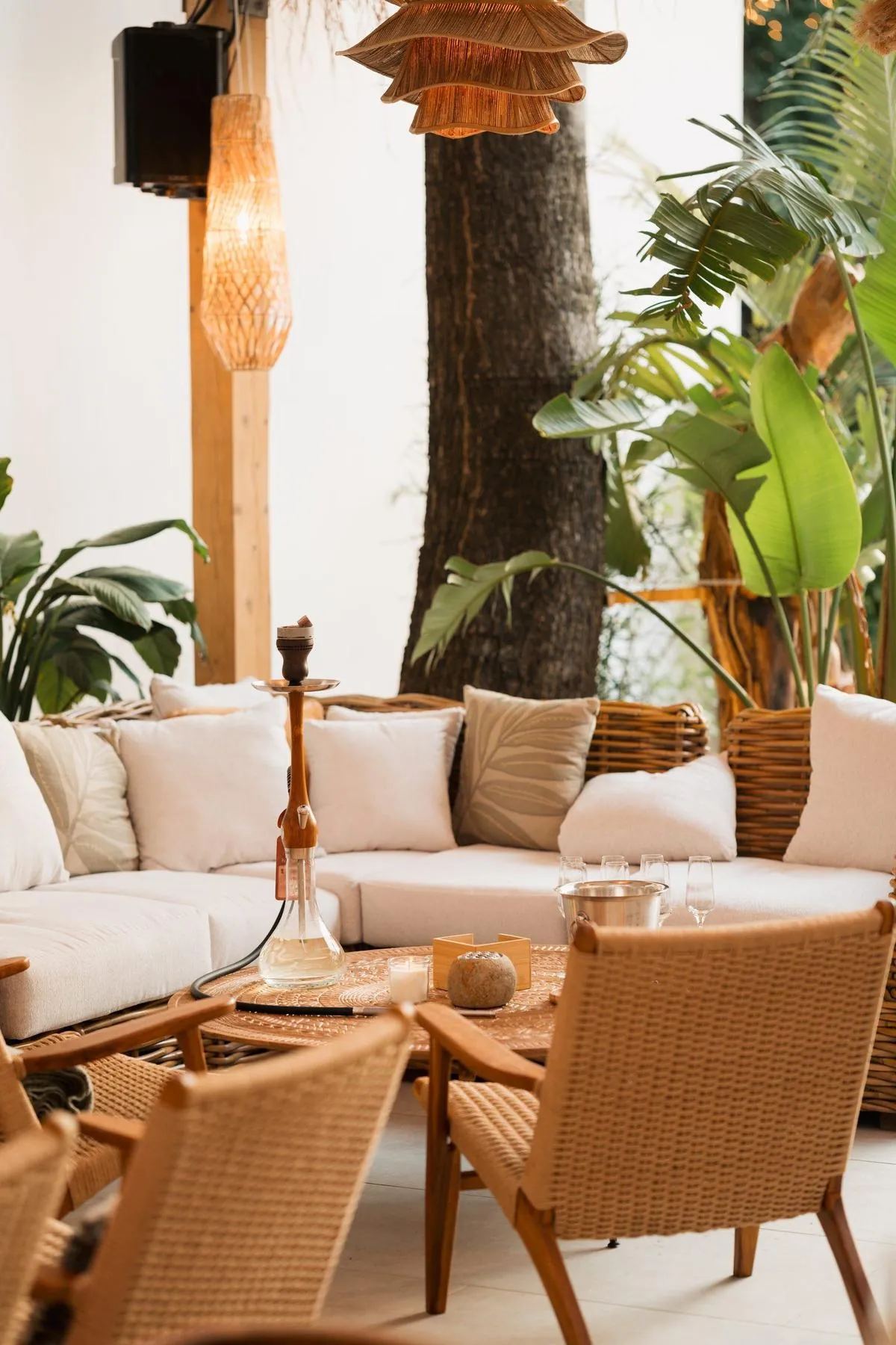 Terasa Komodo Lounge — cea mai mare terasa din Floreasca, cu mobilier din ratan si plante tropicale