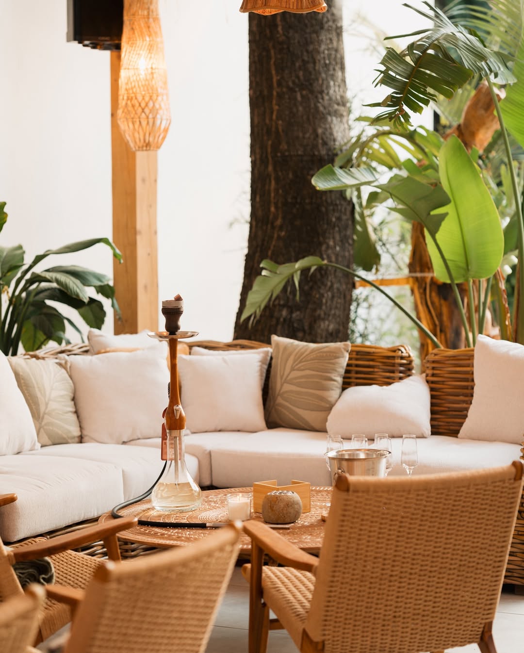 Main room with rattan furniture and tropical plants