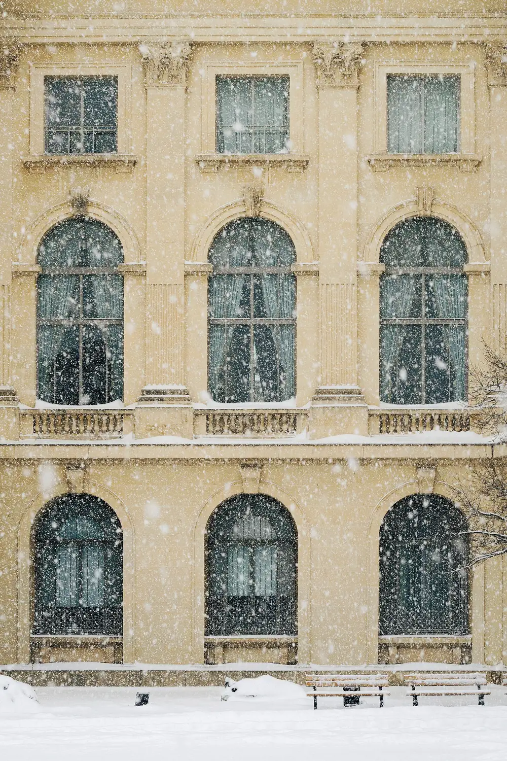 Ninsoare în fața unei fațade neoclasice din București, cu bănci acoperite de zăpadă